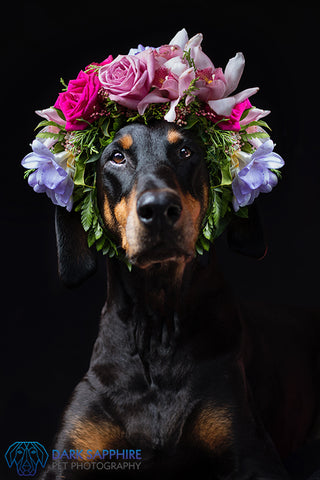 Flower Dog