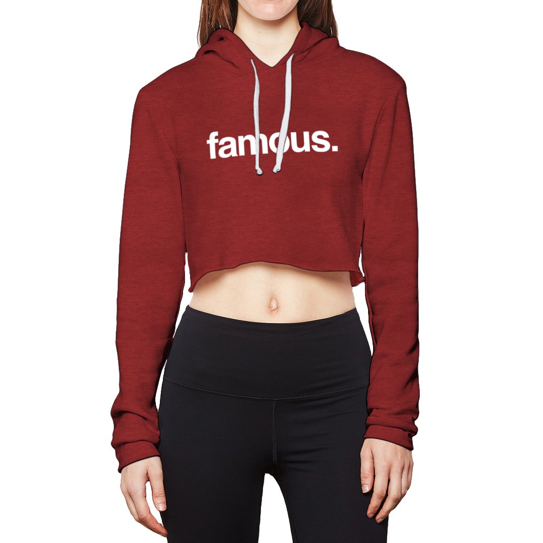 Fact Check Cropped Hoodie