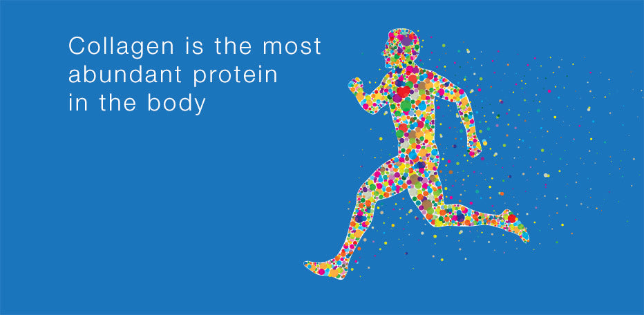 Collagen Protein