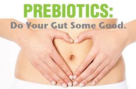 PreBiotics Improve Gut Health