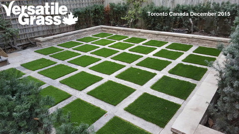 Versatile synthetic artificial grass turf Toronto GTA Ontario