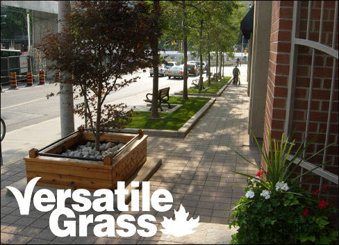 commercial Versatile synthetic artificial grass turf Toronto GTA Ontario
