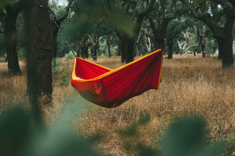 Hang hammock in the forest