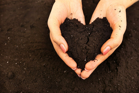 Hands in soil making heart shape.