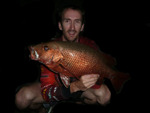 62cm Mangrove Jack