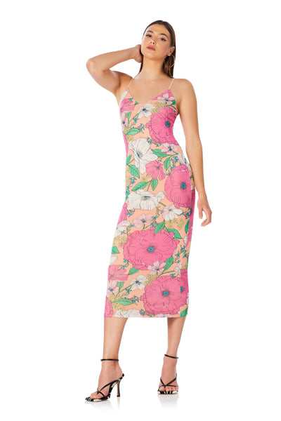 Amina Mesh Dress - Spring Blush Bouquet