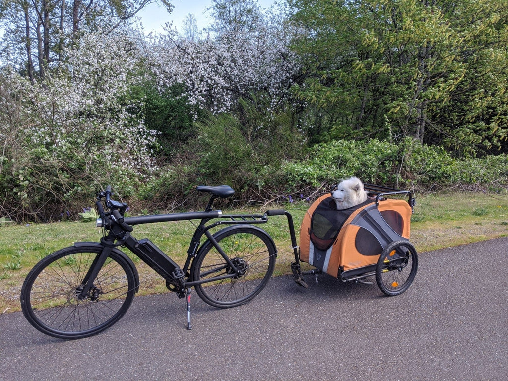 6 Best Dog Bike Trailers 2024 compared, cycle with your best buddy  anywhere! - Pets Own Us