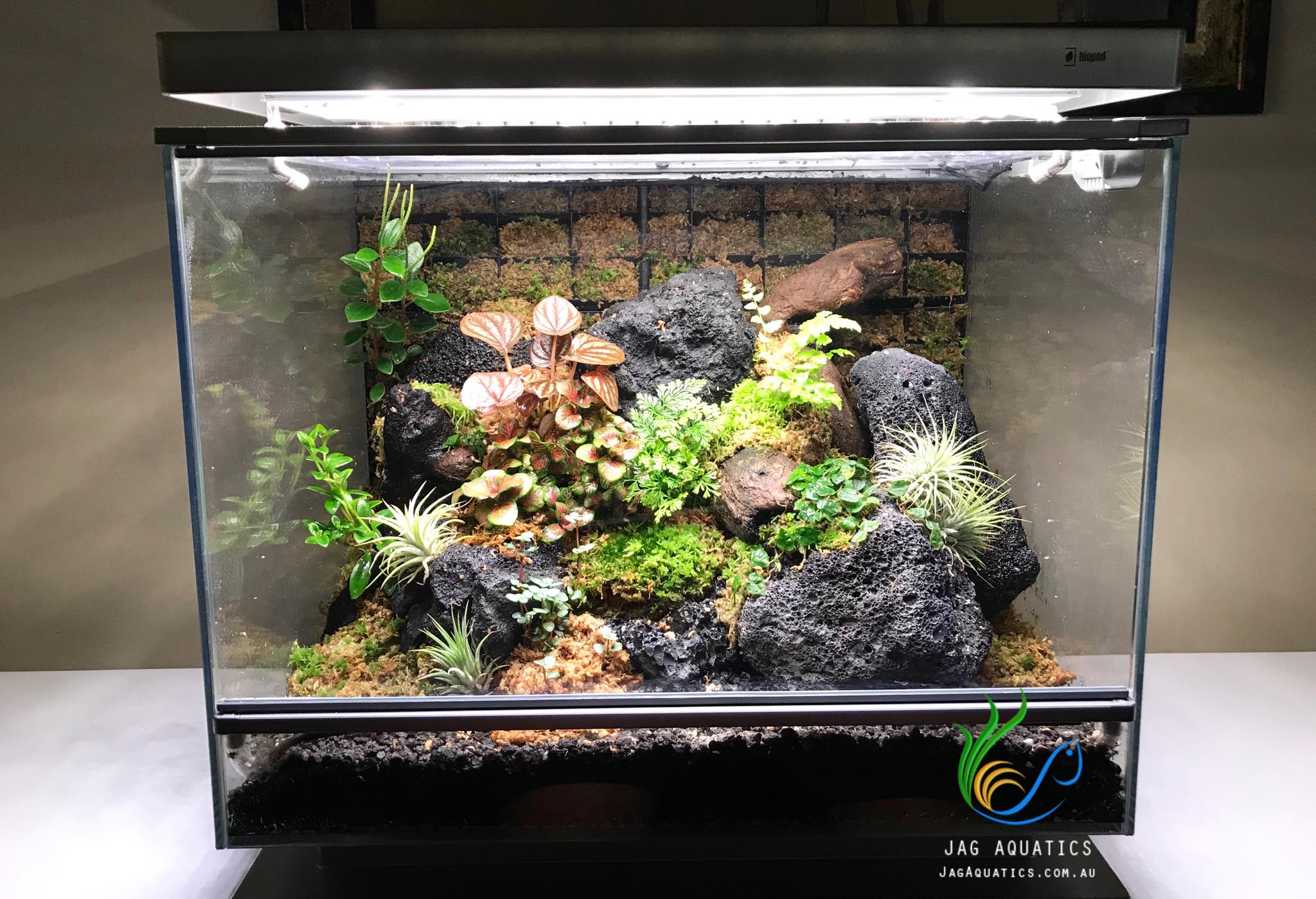Biopod Eden - Update 4
