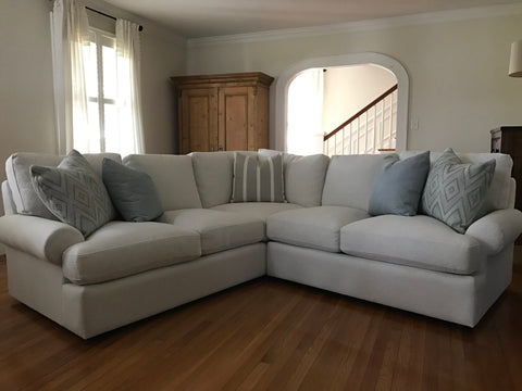 Motherinlaw's Revolution Performance Fabric Couch