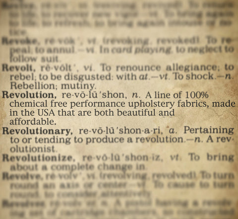 Revolution Definition