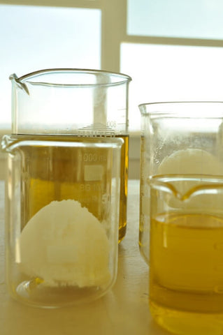 Organic Shea butter in liquid form in two beakers with a scoop of butter in one beaker