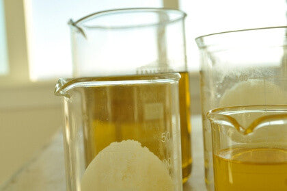 Shea butter in liquid form in 2 glass beakers and in solid form in one beaker