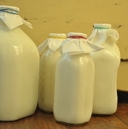 four-different-size-old-fashioned-glass-milk-jugs-Full-of-Goats-Milk