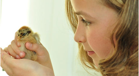 Daughter holding newborn chick in hands near face