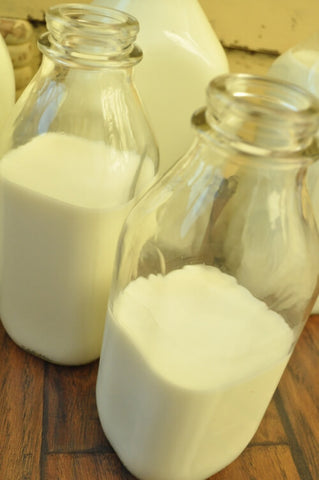 two-old-fashioned-gallon-glass-Milk-Jugs-half-full-of-Goat-milk