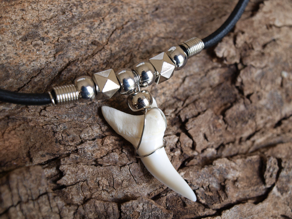 shark tooth necklace