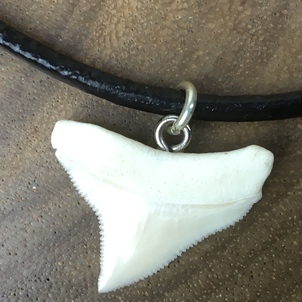 great white shark teeth necklaces