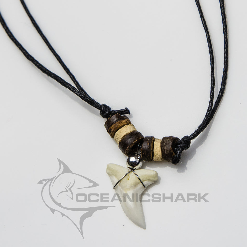 shark tooth pendant