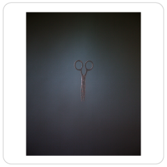 Scissors, Rick Giles