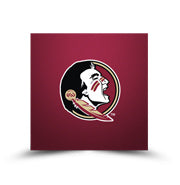 Florida State Seminoles