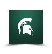 Michigan State Spartans