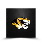 Missouri Tigers