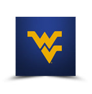 West Virginia Mountaineers