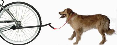 Dogs and bicyle=happiness