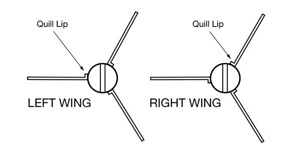 Left or right wing feathers on my arrows?