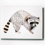 Raccoon Card