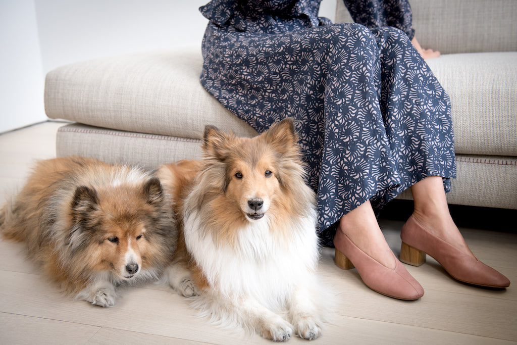 Waist-down image of Suni Sinawi seated on the couch with her two dogs laying on the floor beside her. 