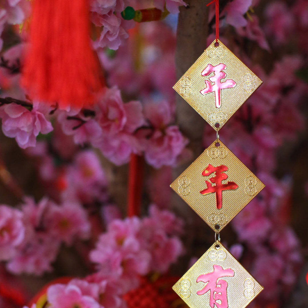 What Does This Lunar New Year Mean For You? EVOLVh