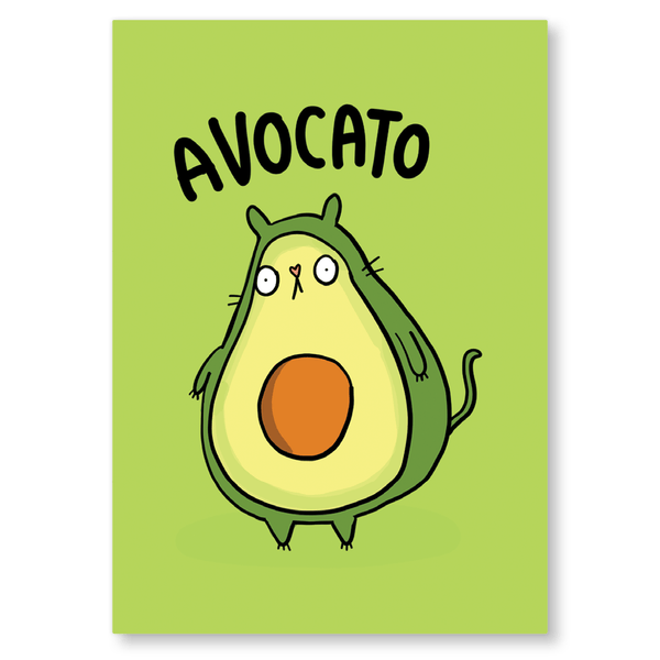 Avocato Postcard