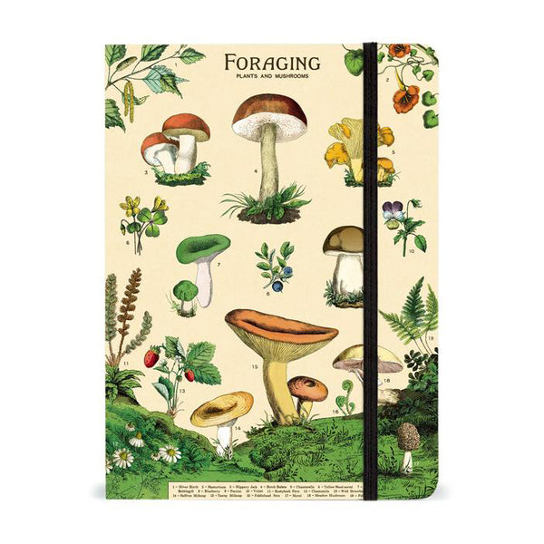 Foraging Large Notebook Cavallini & Co.
