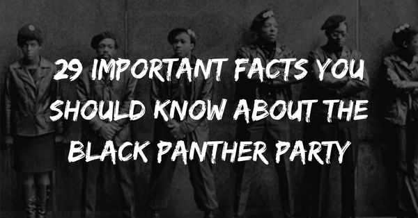 29 Important Facts You Should Know About The Black Panther Party Melanin Is Life