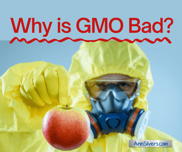 why-is-gmo-bad-ann-silvers-ma