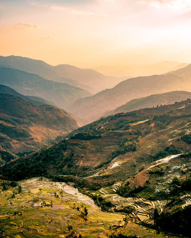 Banaue Rice Terraces