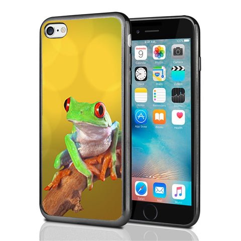 Colorful Tree Frog