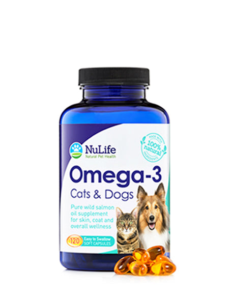 cats and fish oil