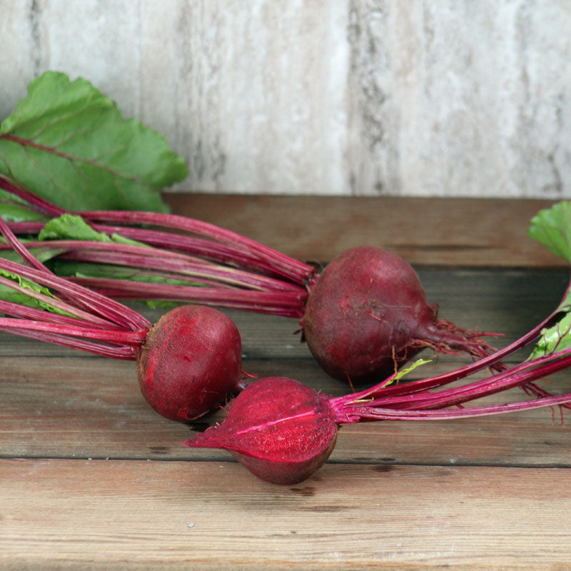 Beet Long Season Pink Stem Seed Seeds