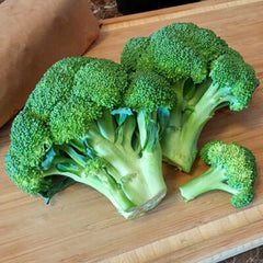 Broccoli Gypsy F1