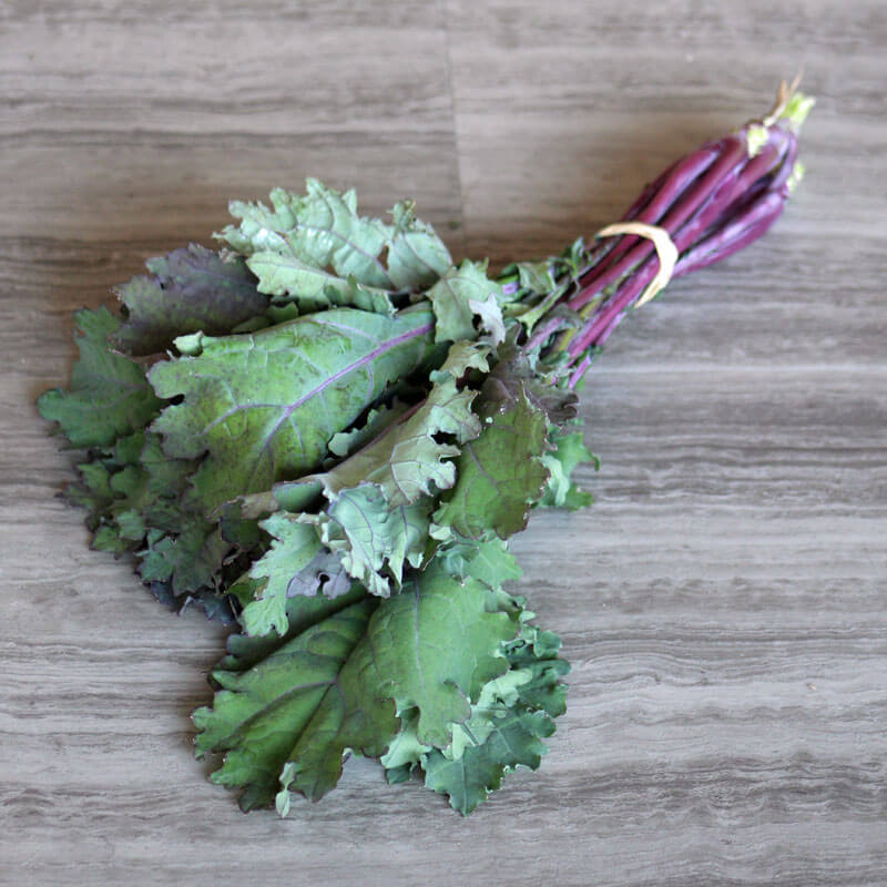 Kale Red Russian Seed Seeds