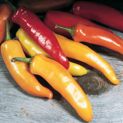 Pepper Hungarian Wax Seed Seeds