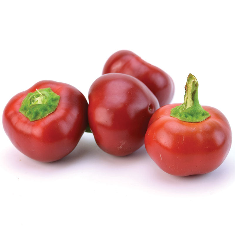 Pepper Large Red Cherry Hot Seed Seeds