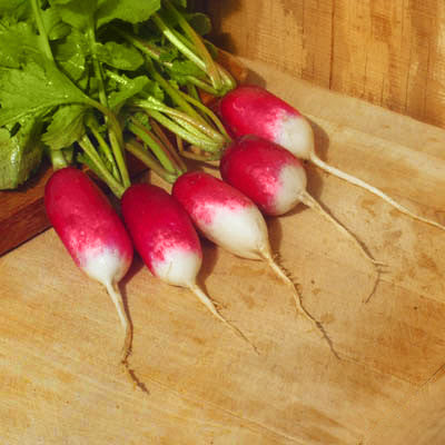 Radish French Breakfast Seed Seeds