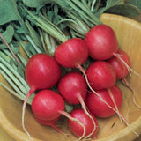 Radish Cherry Belle Seed