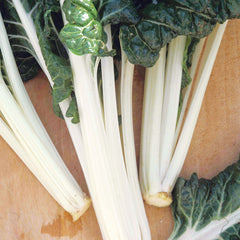 Swiss Chard Large White Ribbed Seed