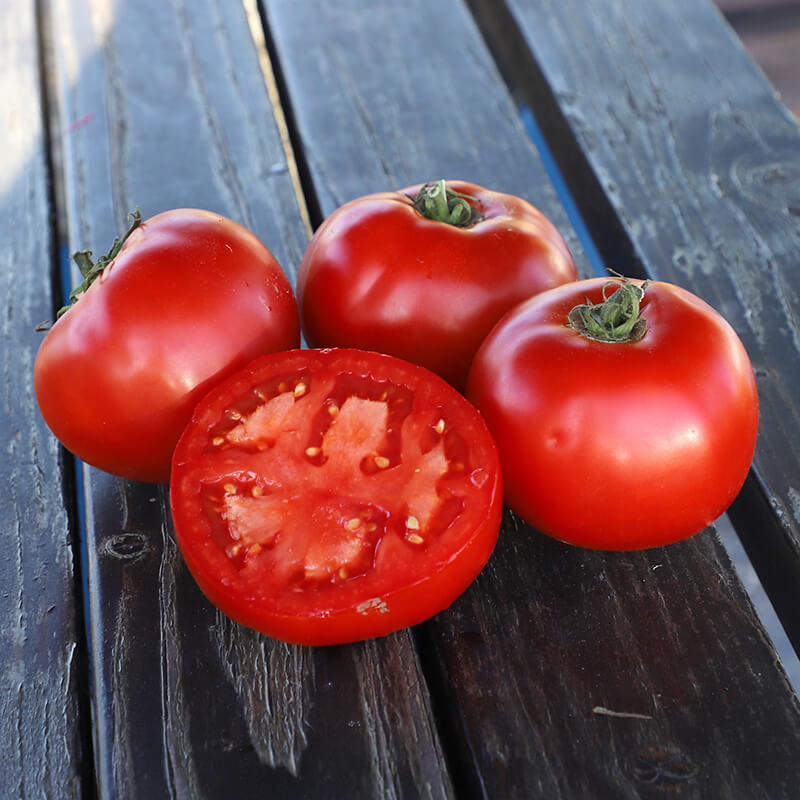 Tomato Celebrity F1 Seed Seeds