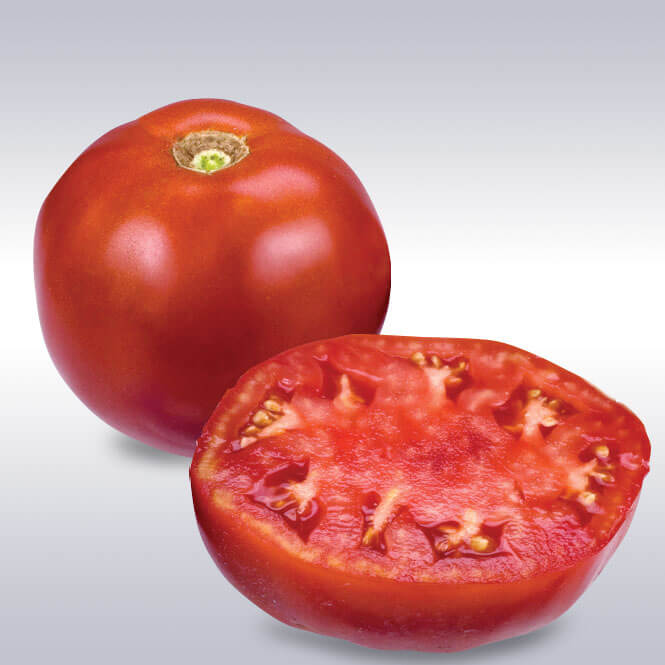 Tomato Moreton Hybrid F1 Seed Seeds