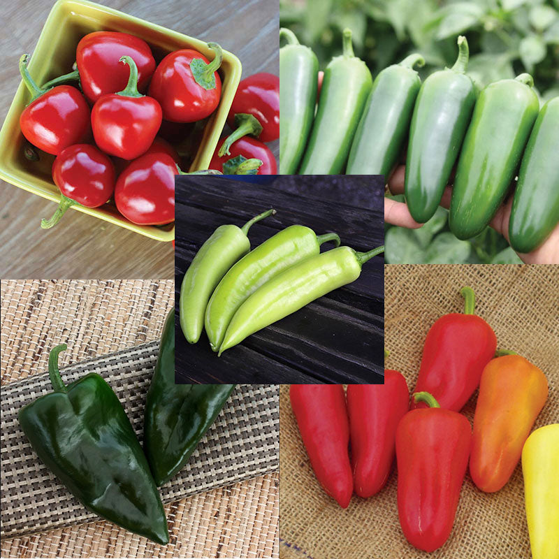 Pepper Seed Collection - Hot Peppers Seed Seeds
